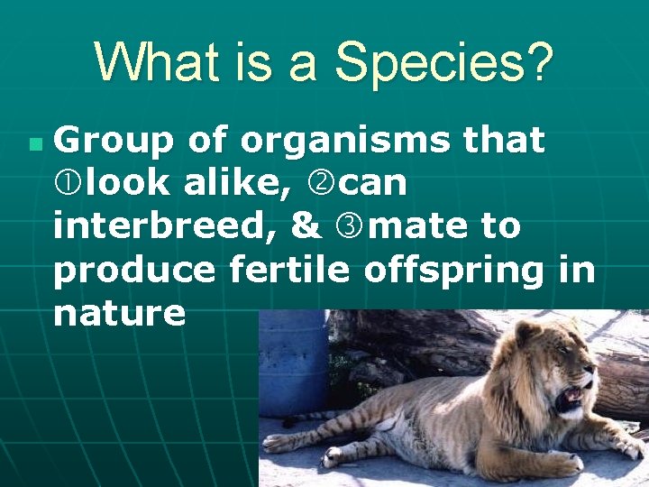 What is a Species? n Group of organisms that look alike, can interbreed, &