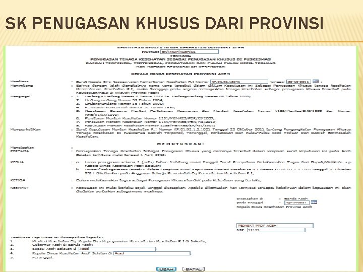 SK PENUGASAN KHUSUS DARI PROVINSI 29 