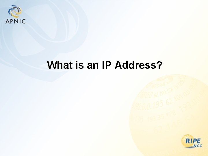 What is an IP Address? 