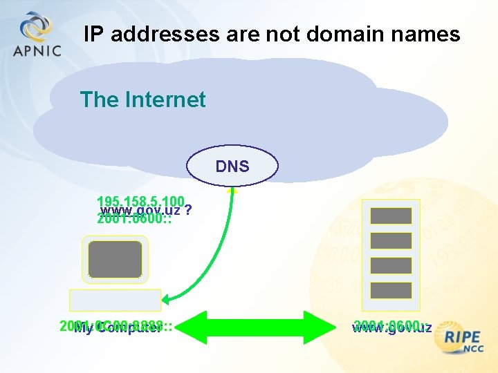 IP addresses are not domain names The Internet DNS 195. 158. 5. 100 www.