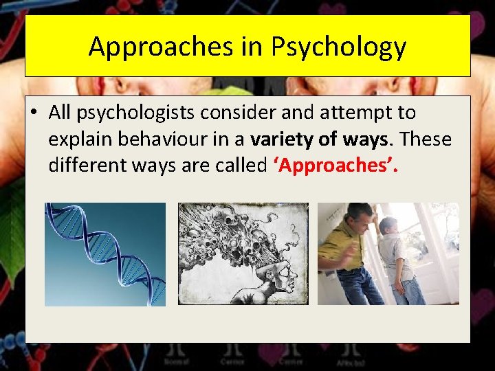 Approaches in Psychology • All psychologists consider and attempt to explain behaviour in a