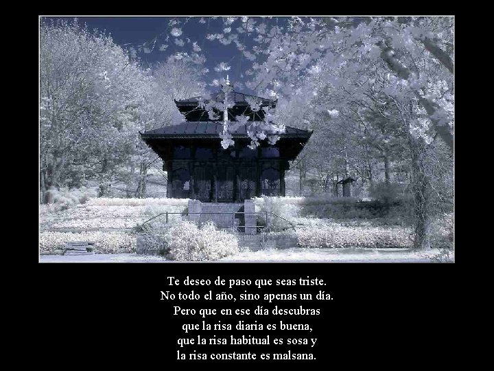 Te deseo de paso que seas triste. No todo el año, sino apenas un