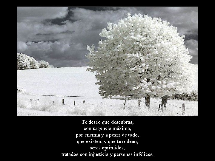 Te deseo que descubras, con urgencia máxima, por encima y a pesar de todo,