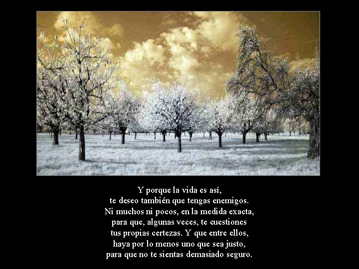 Y porque la vida es así, te deseo también que tengas enemigos. Ni muchos