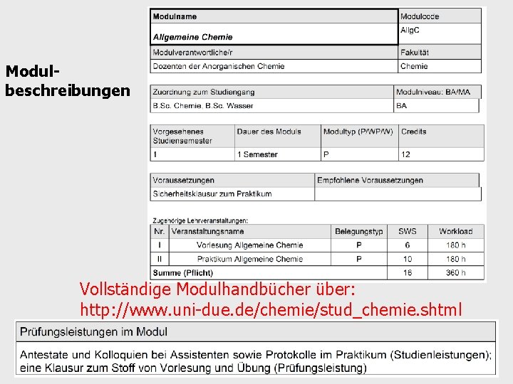 Modulbeschreibungen Vollständige Modulhandbücher über: http: //www. uni due. de/chemie/stud_chemie. shtml 