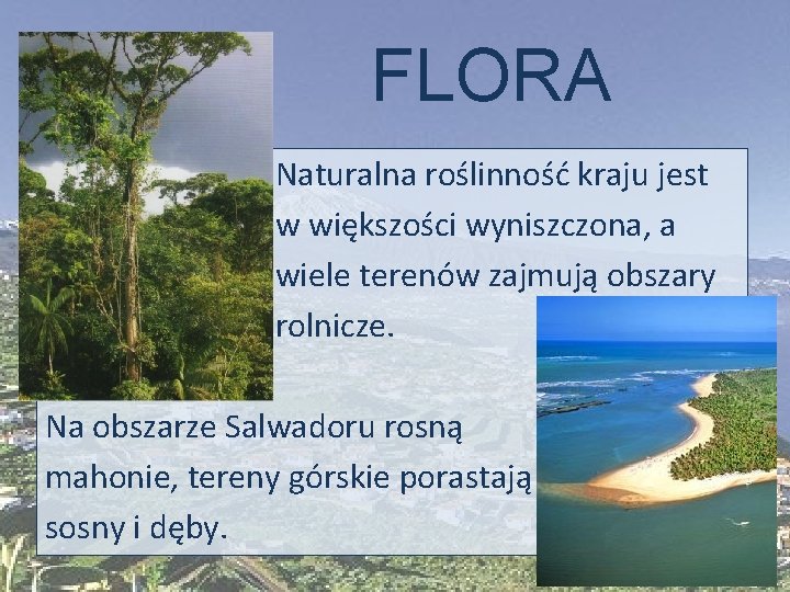 FLORA Naturalna roślinność kraju jest w większości wyniszczona, a wiele terenów zajmują obszary rolnicze.