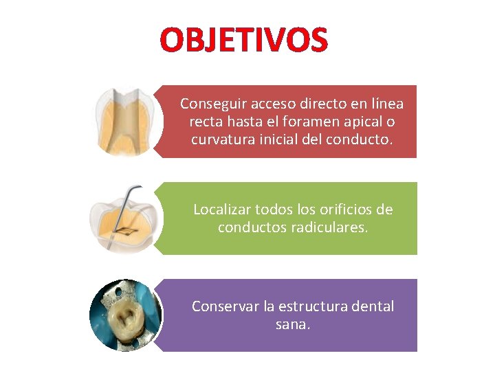 OBJETIVOS Conseguir acceso directo en línea recta hasta el foramen apical o curvatura inicial