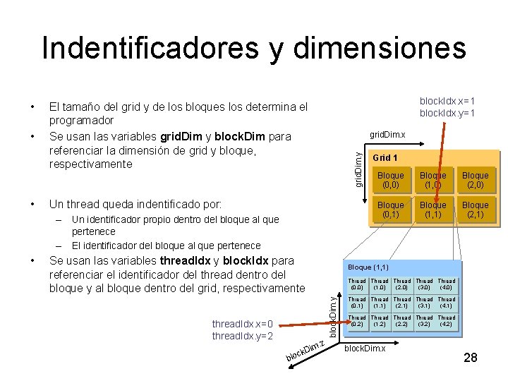 Indentificadores y dimensiones • • block. Idx. x=1 block. Idx. y=1 El tamaño del