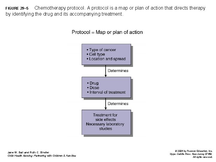 Chemotherapy protocol. A protocol is a map or plan of action that directs therapy Chemotherapy protocol. A protocol is a map or plan of action that directs therapy