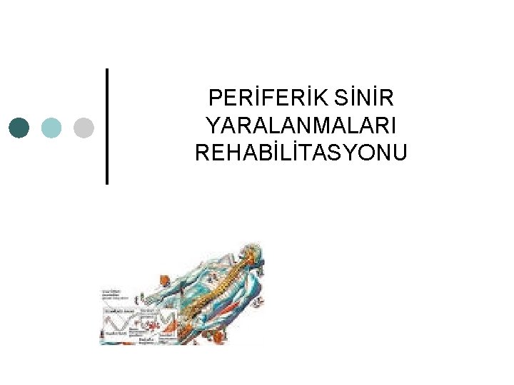 PERİFERİK SİNİR YARALANMALARI REHABİLİTASYONU 