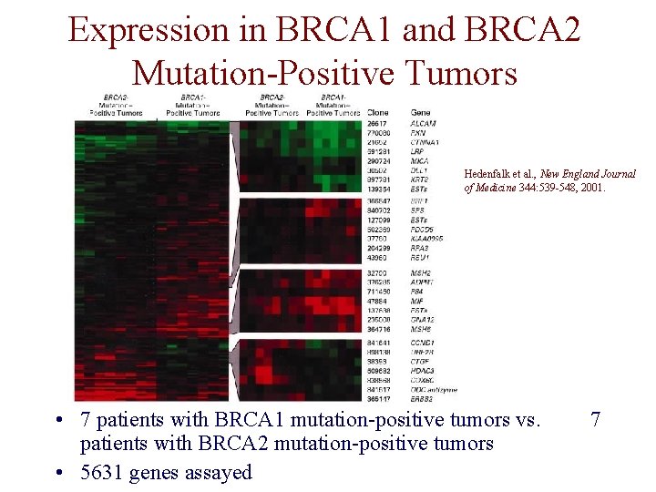 Expression in BRCA 1 and BRCA 2 Mutation-Positive Tumors Hedenfalk et al. , New