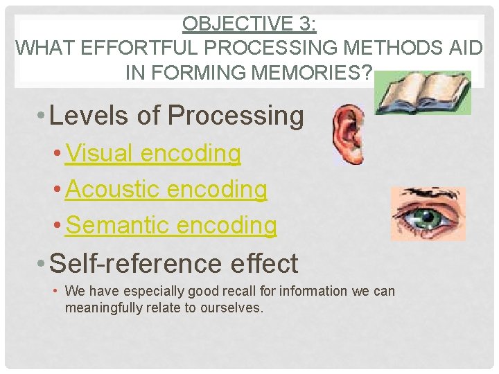 OBJECTIVE 3: WHAT EFFORTFUL PROCESSING METHODS AID IN FORMING MEMORIES? • Levels of Processing