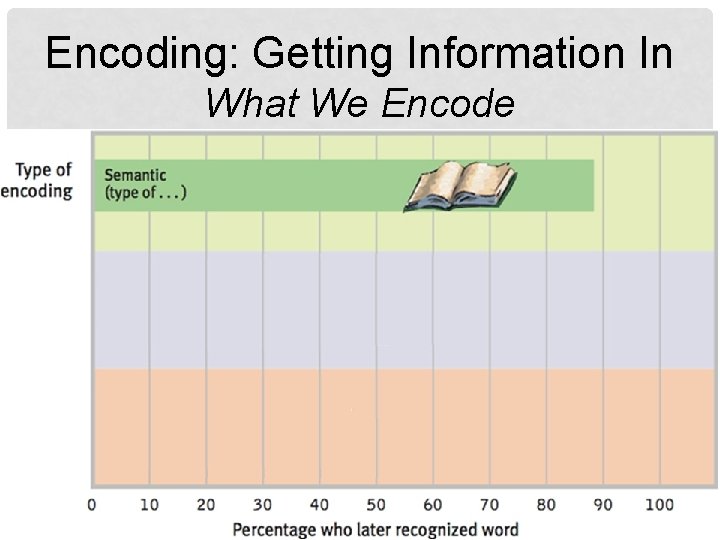 Encoding: Getting Information In What We Encode 