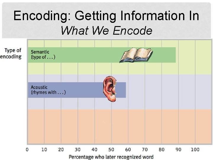 Encoding: Getting Information In What We Encode 