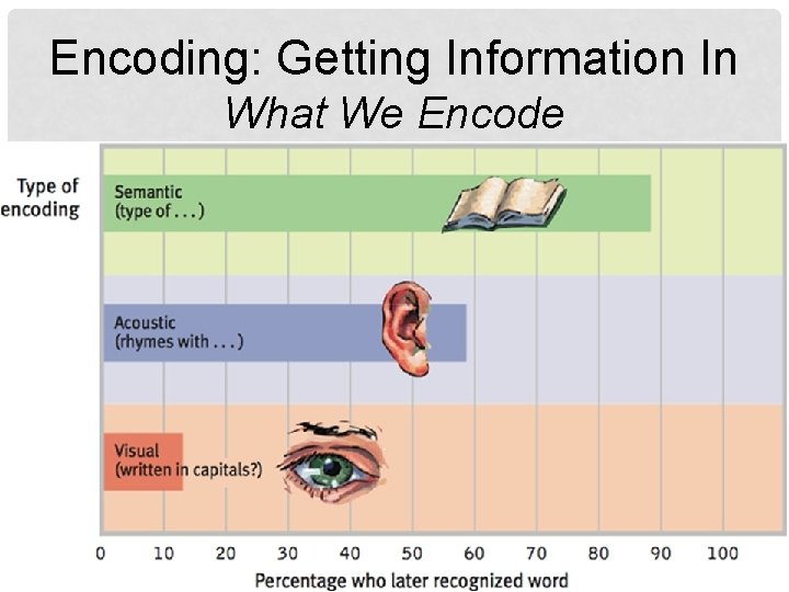 Encoding: Getting Information In What We Encode 