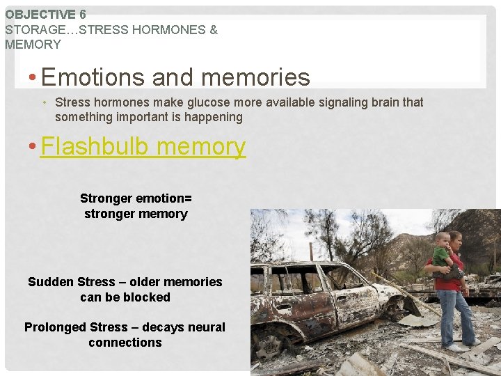 OBJECTIVE 6 STORAGE…STRESS HORMONES & MEMORY • Emotions and memories • Stress hormones make