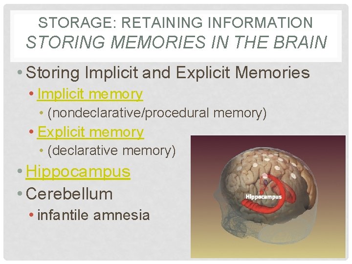 STORAGE: RETAINING INFORMATION STORING MEMORIES IN THE BRAIN • Storing Implicit and Explicit Memories