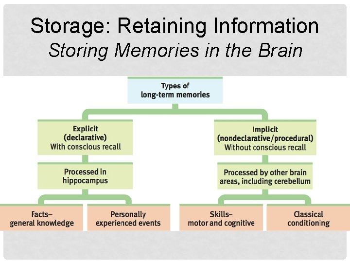 Storage: Retaining Information Storing Memories in the Brain 