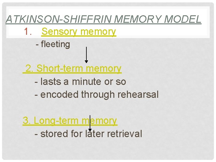 ATKINSON-SHIFFRIN MEMORY MODEL 1. Sensory memory - fleeting 2. Short-term memory - lasts a