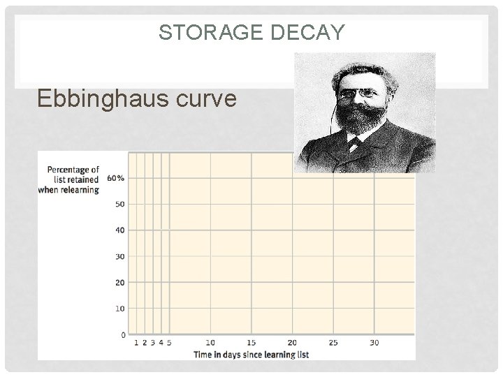 STORAGE DECAY Ebbinghaus curve 
