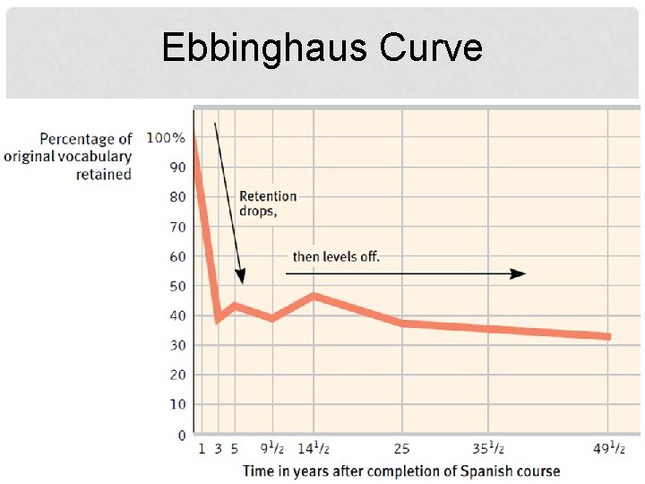 Ebbinghaus Curve 