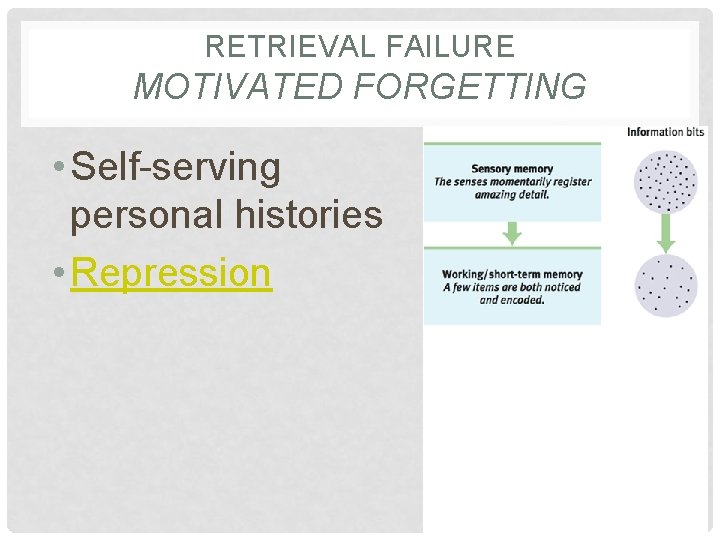 RETRIEVAL FAILURE MOTIVATED FORGETTING • Self-serving personal histories • Repression 