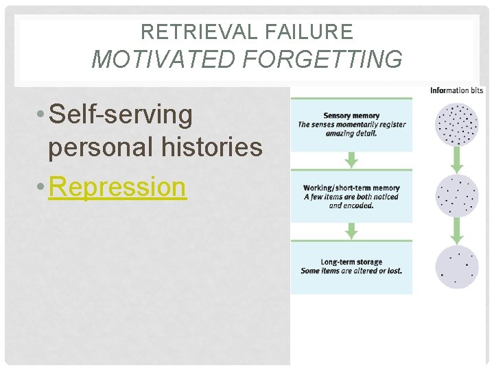 RETRIEVAL FAILURE MOTIVATED FORGETTING • Self-serving personal histories • Repression 