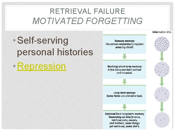 RETRIEVAL FAILURE MOTIVATED FORGETTING • Self-serving personal histories • Repression 