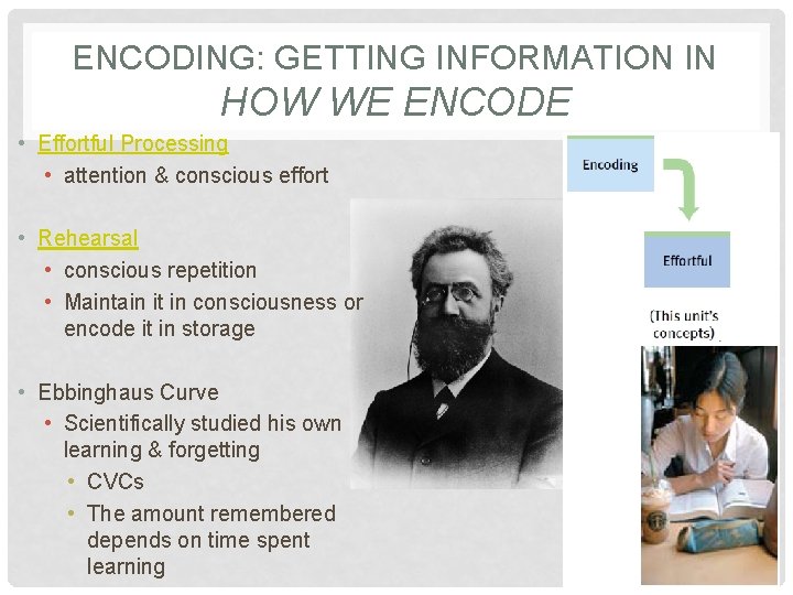 ENCODING: GETTING INFORMATION IN HOW WE ENCODE • Effortful Processing • attention & conscious