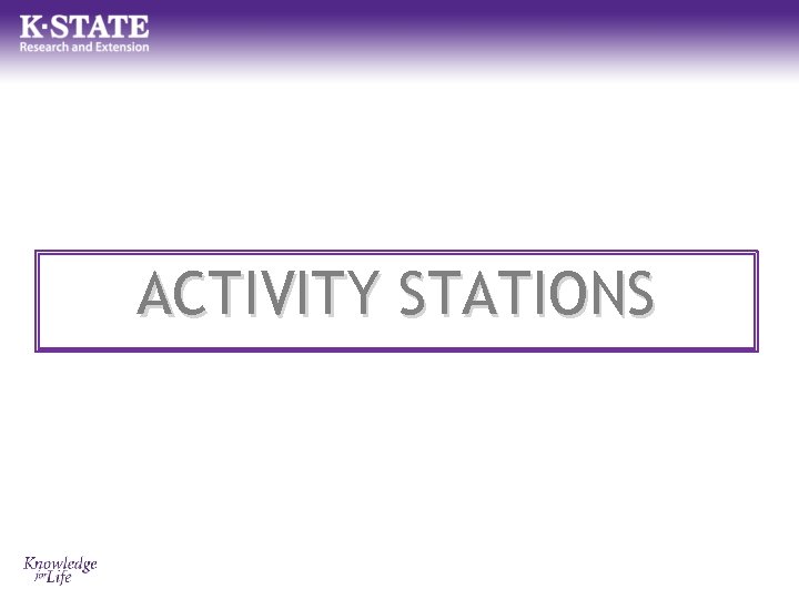 ACTIVITY STATIONS 