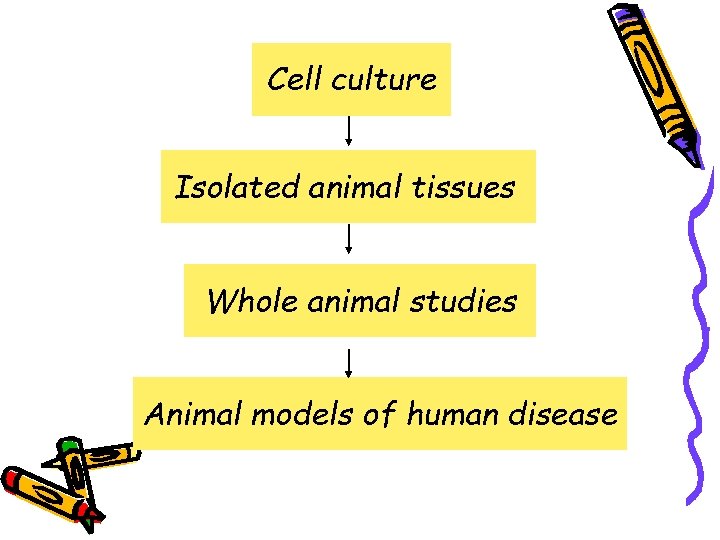 Cell culture Isolated animal tissues Whole animal studies Animal models of human disease 