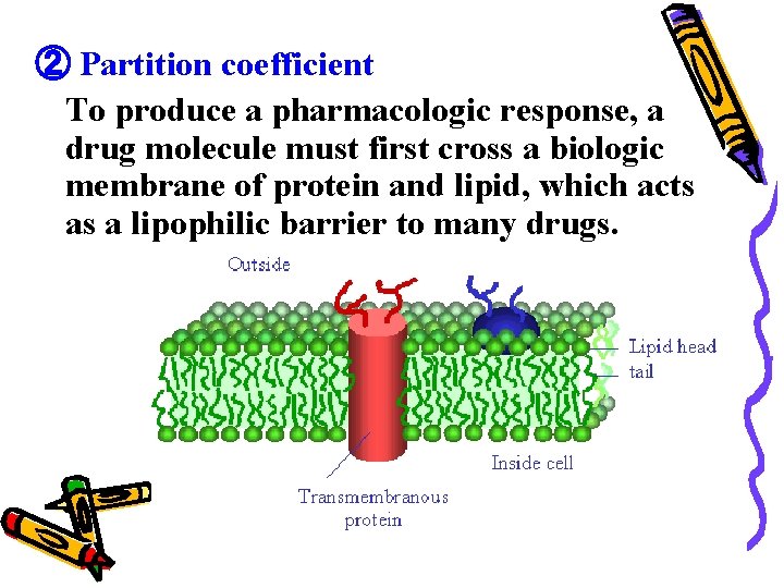 ② Partition coefficient To produce a pharmacologic response, a drug molecule must first cross