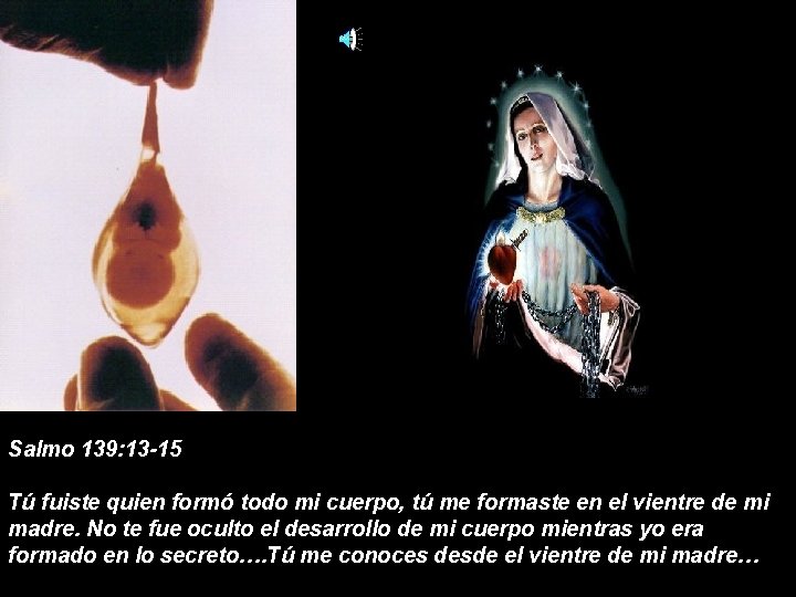 Salmo 139: 13 -15 Tú fuiste quien formó todo mi cuerpo, tú me formaste