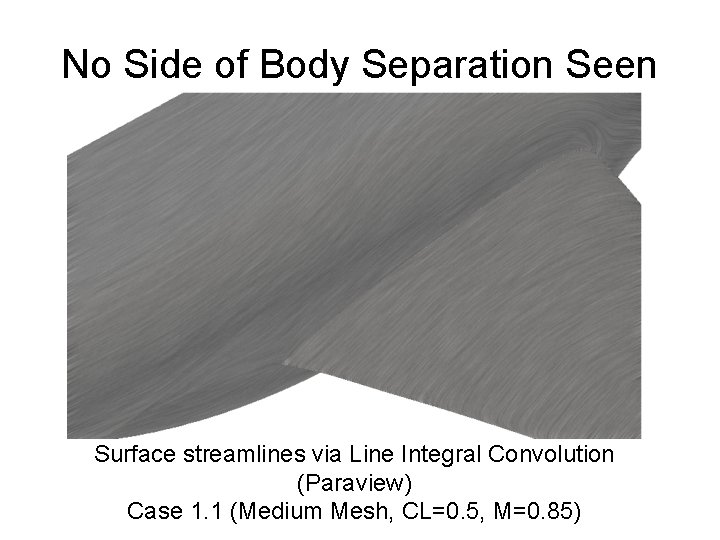 No Side of Body Separation Seen Surface streamlines via Line Integral Convolution (Paraview) Case