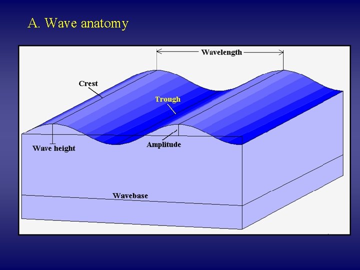 A. Wave anatomy 