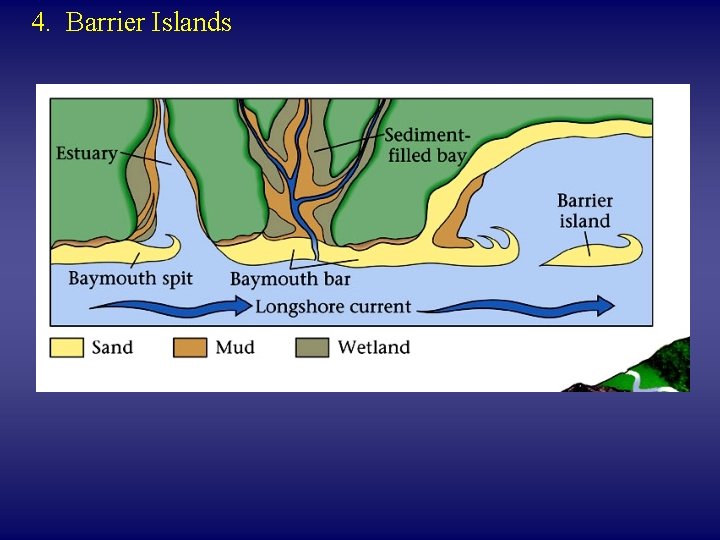 4. Barrier Islands 