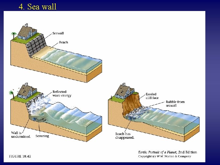 4. Sea wall 