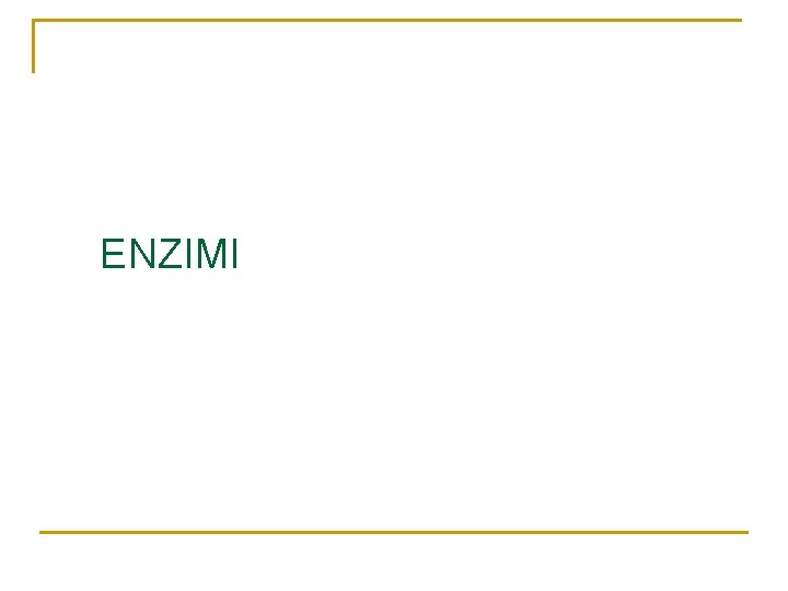 ENZIMI 