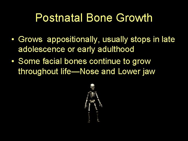 Postnatal Bone Growth • Grows appositionally, usually stops in late adolescence or early adulthood