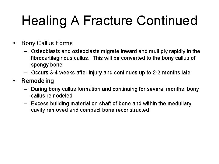 Healing A Fracture Continued • Bony Callus Forms – Osteoblasts and osteoclasts migrate inward
