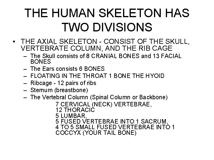 THE HUMAN SKELETON HAS TWO DIVISIONS • THE AXIAL SKELETON - CONSIST OF THE