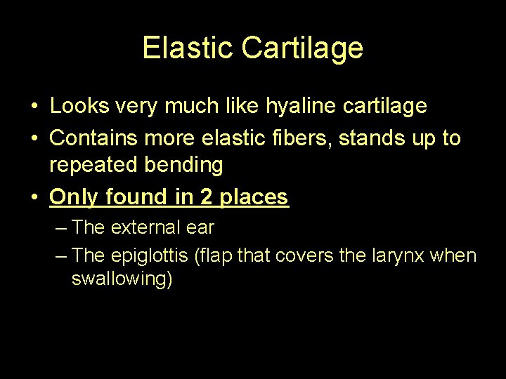 Elastic Cartilage • Looks very much like hyaline cartilage • Contains more elastic fibers,
