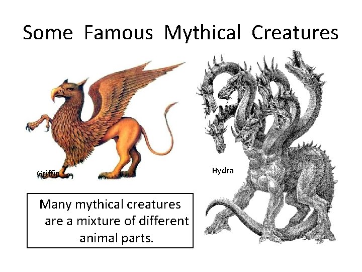 Some Famous Mythical Creatures Griffin Many mythical creatures are a mixture of different animal