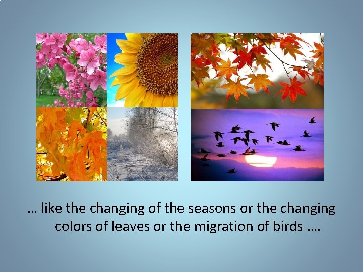… like the changing of the seasons or the changing colors of leaves or