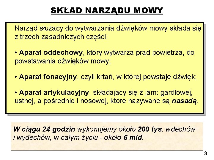 SKŁAD NARZĄDU MOWY Narząd służący do wytwarzania dźwięków mowy składa się z trzech zasadniczych