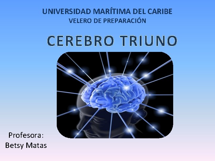 UNIVERSIDAD MARÍTIMA DEL CARIBE VELERO DE PREPARACIÓN CEREBRO TRIUNO • Profesora: Betsy Matas 