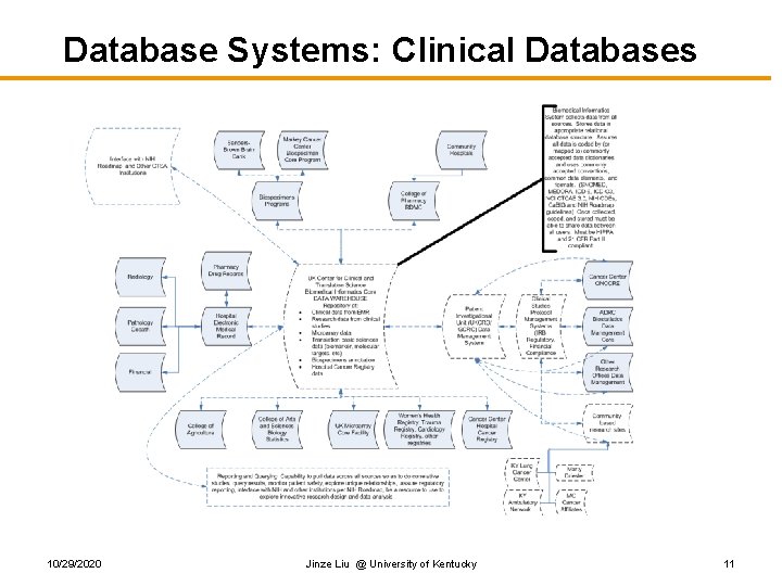 Database Systems: Clinical Databases 10/29/2020 Jinze Liu @ University of Kentucky 11 Database Systems: Clinical Databases 10/29/2020 Jinze Liu @ University of Kentucky 11
