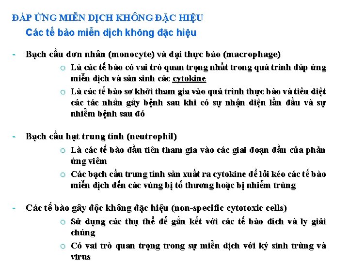 ĐÁP ỨNG MIỄN DỊCH KHÔNG ĐẶC HIỆU Các tế bào miễn dịch không đặc