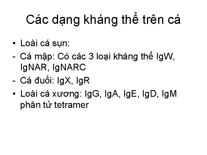 Các dạng kháng thể trên cá • Loài cá sụn: - Cá mập: Có