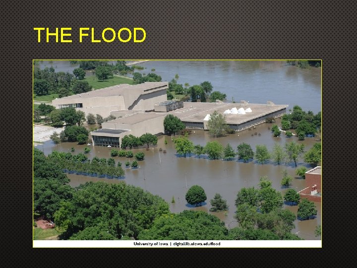 THE FLOOD THE FLOOD